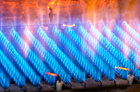 Blackhorse gas fired boilers